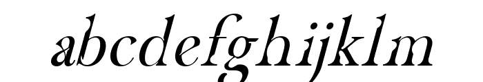CF Havarti Obliq Short X-Height Font LOWERCASE