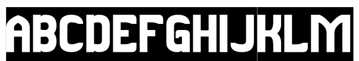 COMPUTER SCIENCE-Inverse Font UPPERCASE