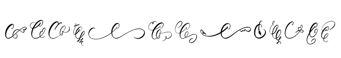 Calligra Monogram Font Font UPPERCASE