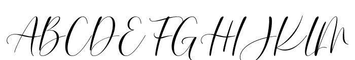 Camalia Amira Italic Font UPPERCASE