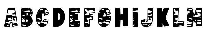 Camouflage Bold Regular Font UPPERCASE