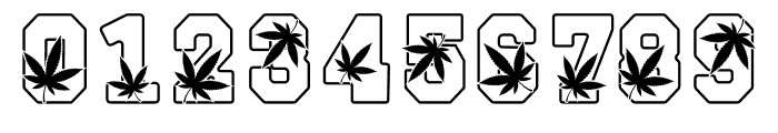 Cannabis Outline Font OTHER CHARS