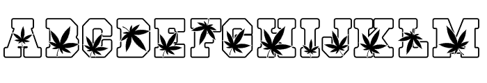 Cannabis Outline Font LOWERCASE