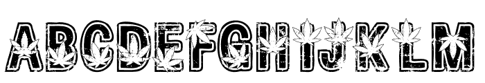 Cannabis Retro Full Font LOWERCASE
