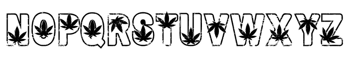 Cannabis Retro Font UPPERCASE