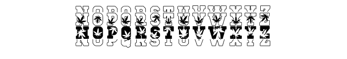 Cannabis Stacked Mix Font UPPERCASE