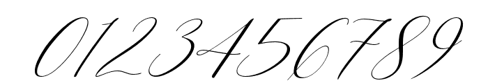 Cantona Italic Font OTHER CHARS