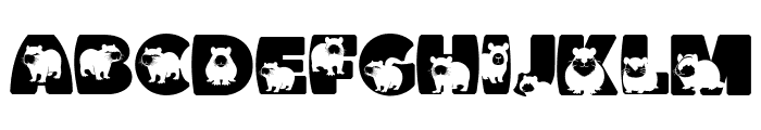 Capybara Font UPPERCASE