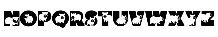 Capybara Font UPPERCASE