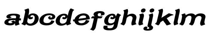 CaractereDoubletItalic Font LOWERCASE