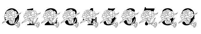 Carnation MNGRM Font OTHER CHARS
