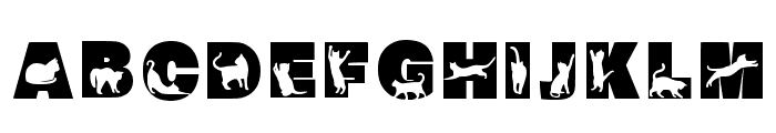 Cat 2 Regular Font UPPERCASE