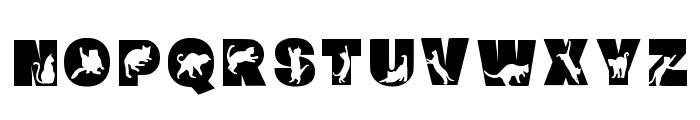 Cat 2 Regular Font UPPERCASE