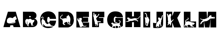 Cat 2 Regular Font LOWERCASE