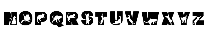 Cat 2 Regular Font LOWERCASE