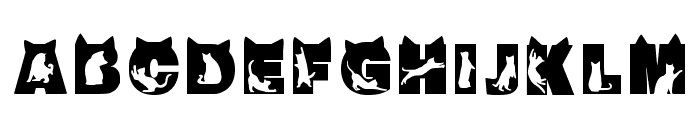 Cat Lover Regular Font UPPERCASE