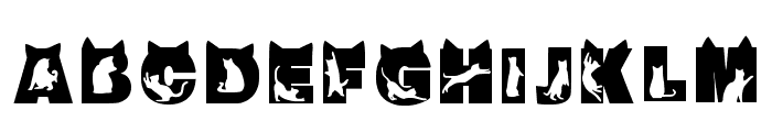 Cat Lover Regular Font LOWERCASE