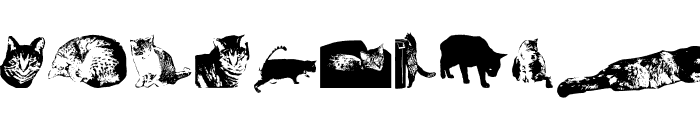 Cat e Poultry Font LOWERCASE