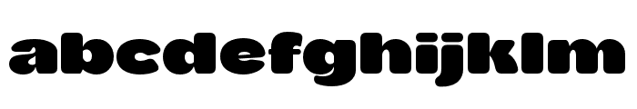 Cedag-Round Font LOWERCASE