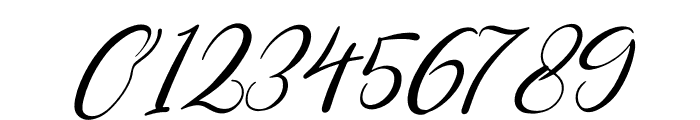 Chamelia Blinkar Italic Font OTHER CHARS