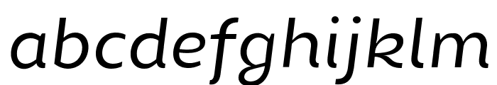 Chamfort Family Italic Font LOWERCASE