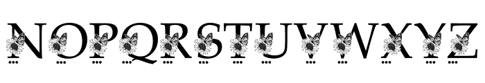 ChantiqFlowerMonogram Font LOWERCASE