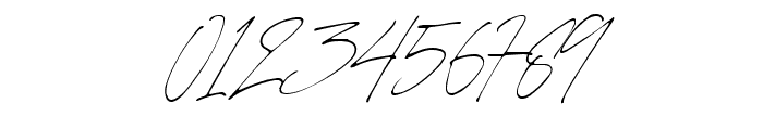 Charlotte Signature 2 Regular Font OTHER CHARS