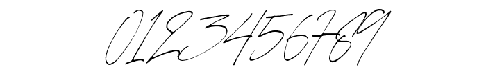 CharlotteSignature-Regular Font OTHER CHARS