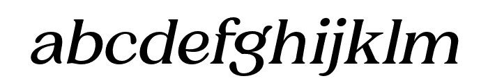 CharmanSerif-Italic Font LOWERCASE