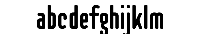 Checkpoint-Bold Font LOWERCASE