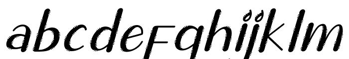 Chic Cat Italic Font LOWERCASE