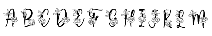 Clarissa Monogram Font LOWERCASE