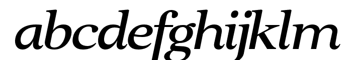 Clarton Italic FONT
