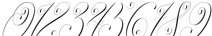 ClassicalCalligraphy Font OTHER CHARS
