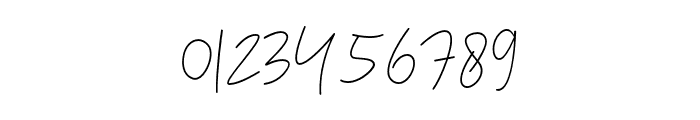 CongealedSignature Font OTHER CHARS