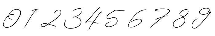 Contle Signature Font OTHER CHARS