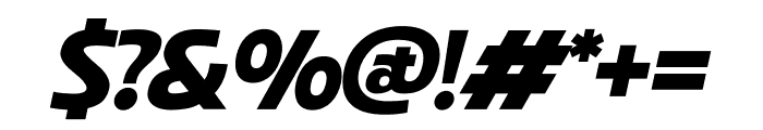 Coppint Black Oblique Font OTHER CHARS