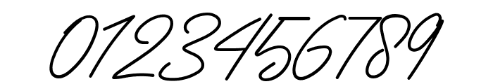 Costella Signature Font OTHER CHARS