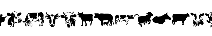 Cow bundle Font LOWERCASE