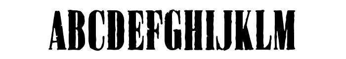 CralterSerif-Rough Font UPPERCASE