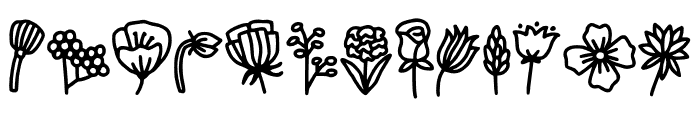 fontPreview