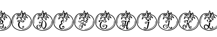 fontPreview