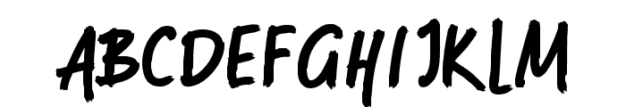 DASHBIRD Regular Font LOWERCASE
