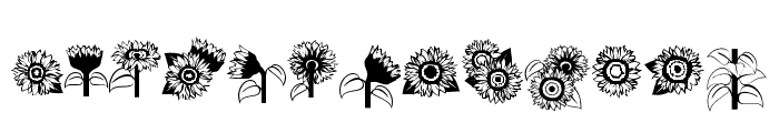 DBSunflowers Font UPPERCASE