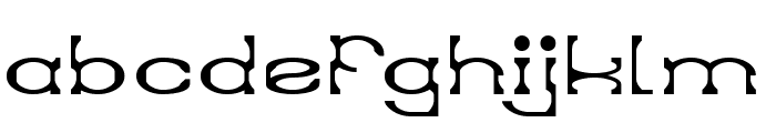 DEFAULT SYSTEM-Light Font LOWERCASE