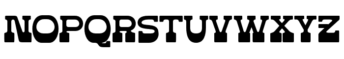 DUSTYRODEO-Regular Font UPPERCASE