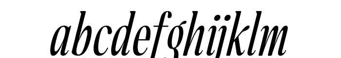 Dailyfully Italic Font LOWERCASE