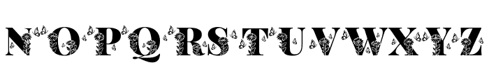 Daisy Garden Suse Regular Font LOWERCASE