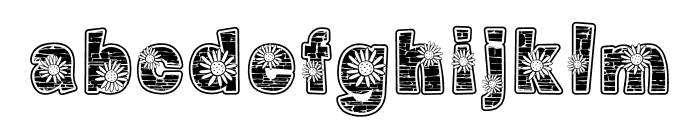 Daisy-Grunge Font LOWERCASE