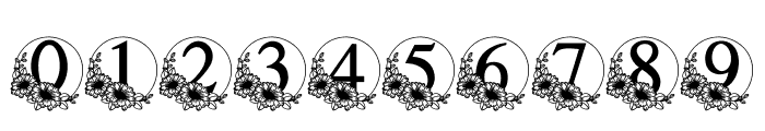 Daisy wedding Font OTHER CHARS